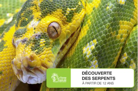 Découverte des serpents - Samedi 26 mars 2022