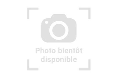 Pantherophis guttatus, ghost, 2022