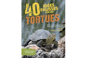 40 idées fausses sur les tortues