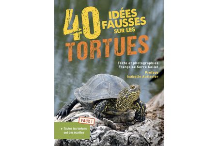 40 idées fausses sur les tortues