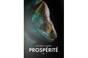 Prospérité, Tome 1 - Odyssée