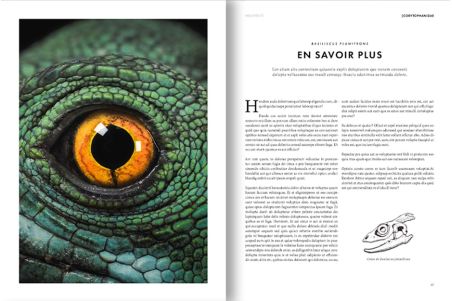 Prospérité, Tome 1 - Odyssée