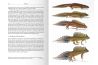 The Genus Ommatotriton