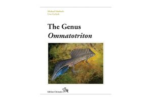 The Genus Ommatotriton