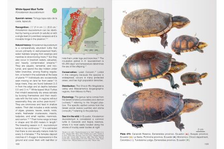 Reptiles of Ecuador