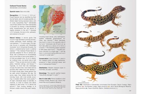 Reptiles of Ecuador