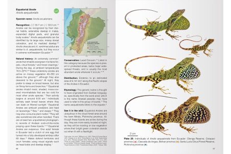 Reptiles of Ecuador