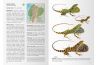 Reptiles of Ecuador