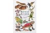 Reptiles of Ecuador