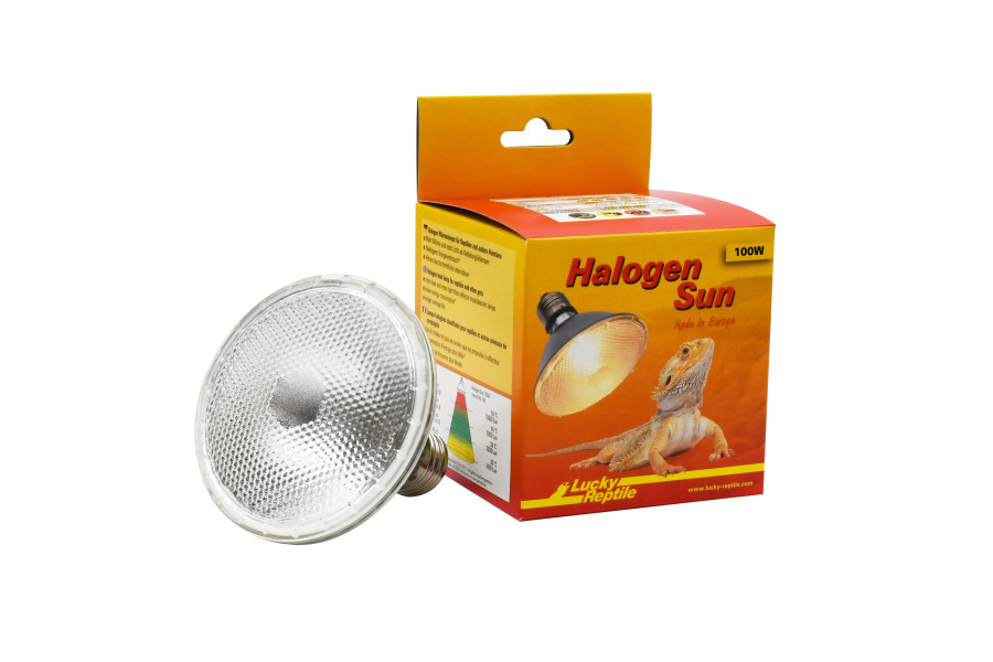 Halogen sun Halogen sun