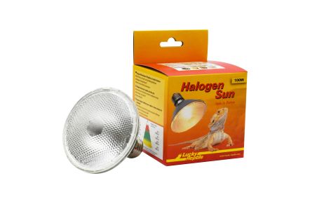 Halogen sun