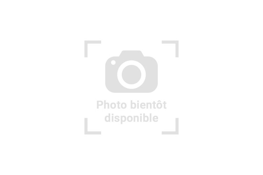 Pogona vitticeps, hypo. zero, femelle adulte Pogona vitticeps, hypo. zero, femelle adulte