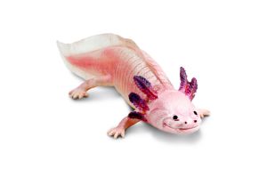 Figurine Axolotl