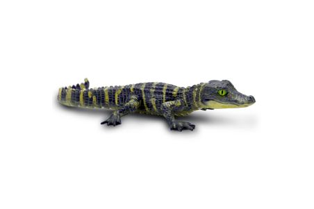 Figurine bébé alligator