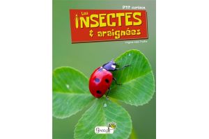 P'tit curieux, les insectes et araignées