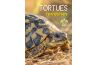 Tortues terrestres