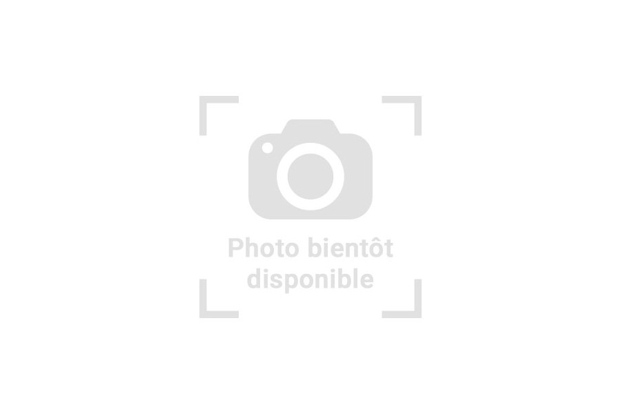Boa c. imperator, Honduras super motley CITES N° : Boa c. imperator, Honduras super motley CITES N° :