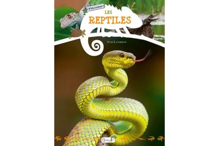 P'tit Curieux, Les Reptiles