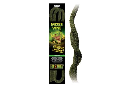 Liane flexible Moss Vine
