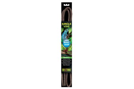 Jungle Vine