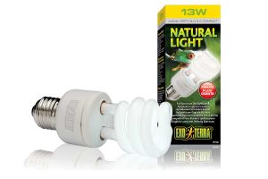 Repti Glo - Natural Light