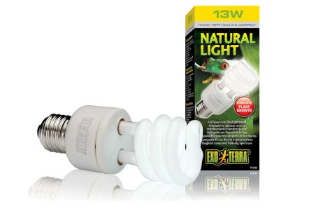 Repti Glo - Natural Light