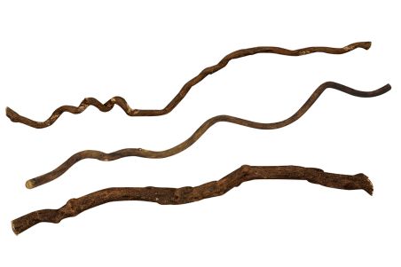 Lianes naturelles "Tire-bouchon"