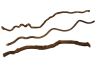 Lianes naturelles "Tire-bouchon"