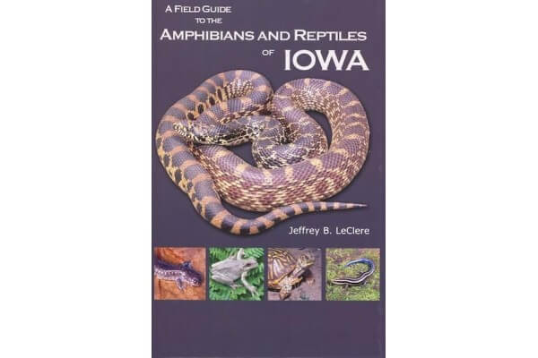 A Field Guide to the Amphibians and Reptiles of Iowa- Soft Cover A Field Guide to the Amphibians and Reptiles of Iowa- Soft Cover