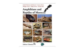 Amphibians and Reptiles of Morocco