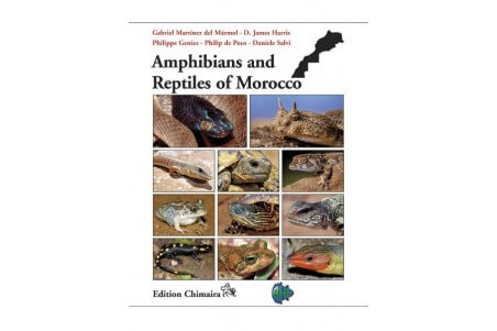 Amphibians and Reptiles of Morocco