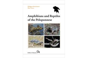 Amphibians and Reptiles of the Peloponnese