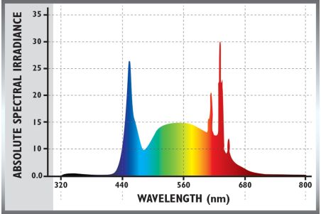 ReptiSun Led - Galerie Led