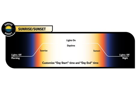 ReptiSun Led - Galerie Led