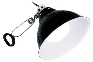 Glow Light Medium