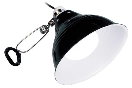 Glow Light Medium