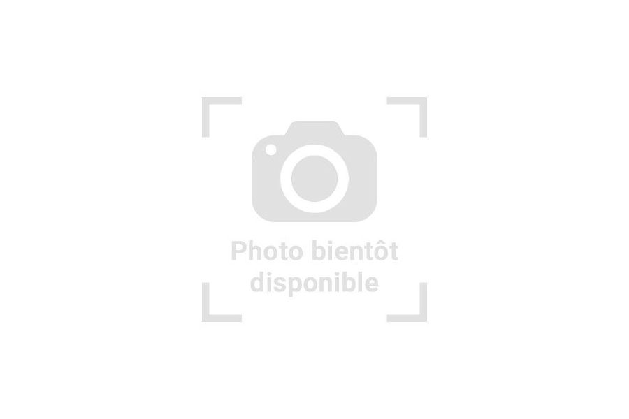 Kaloula pulchra, albinos Kaloula pulchra, albinos