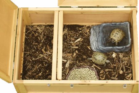 Tortoise House