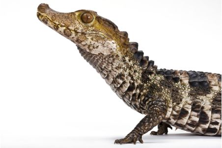 Journée découverte pour débutants - Samedi 14 septembre 2024