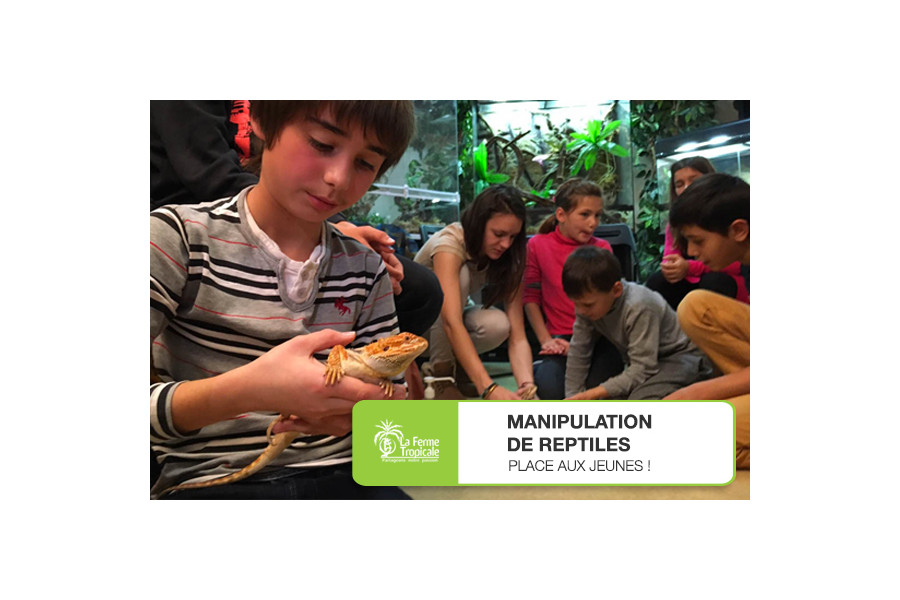 Manipulation de reptiles : place aux jeunes ! - Dimanche 27 février 2022