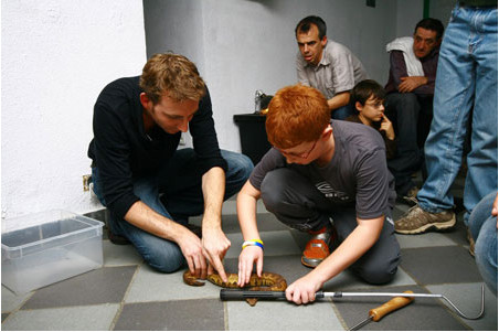 Journée découverte pour débutants - Samedi 4 janvier 2025