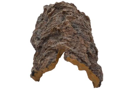 Bark Cave - Cachette en résine
