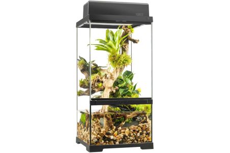 Paludarium en verre