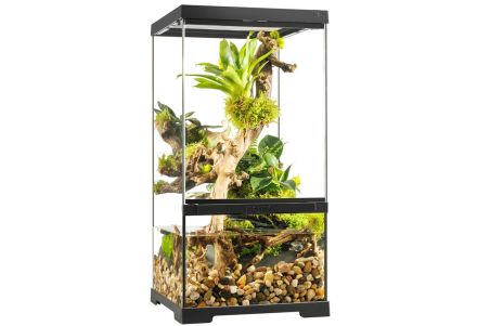 Paludarium en verre