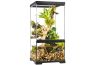 Paludarium en verre