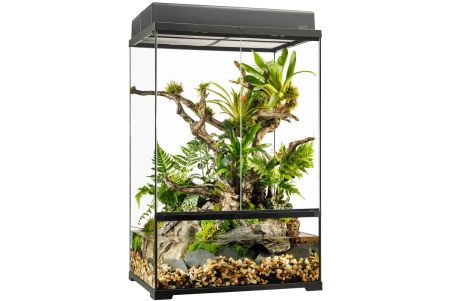 Paludarium en verre