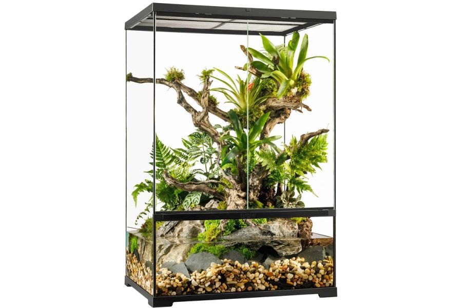 Paludarium en verre