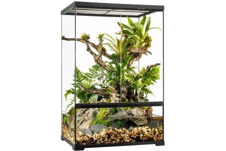 Paludarium en verre