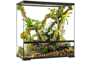 Paludarium en verre
