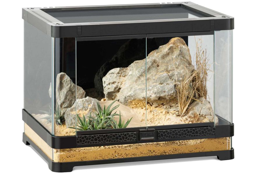 Terrarium en kit VISTA
